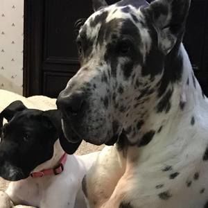 Meet your Posher, Beth